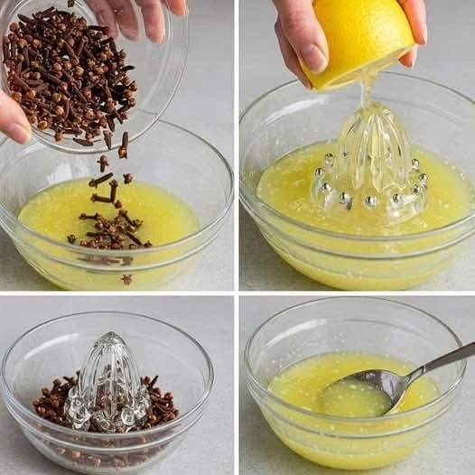 Citron a hřebíček - tajemství přírodní chuti a zdraví