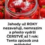 Jahody uchované čerstvé v lednici pro dlouhou trvanlivost