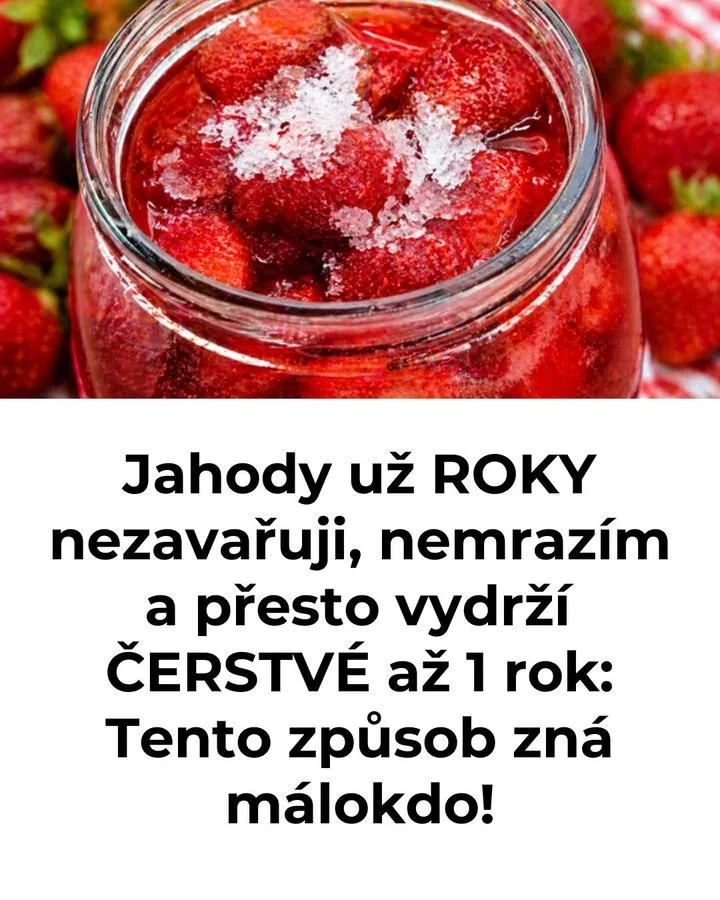 Jahody uchované čerstvé v lednici pro dlouhou trvanlivost