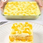 Krémový a nadýchaný mango dezert bez pečení s čerstvým mangem