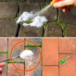 Řešení proti mechu na příjezdové cestě a terase pro bezúdržbový vzhled
