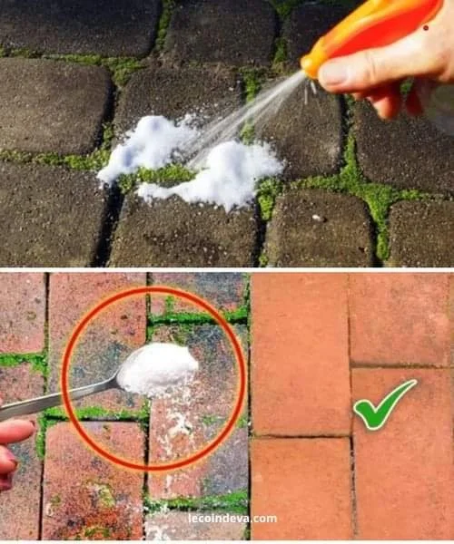Řešení proti mechu na příjezdové cestě a terase pro bezúdržbový vzhled