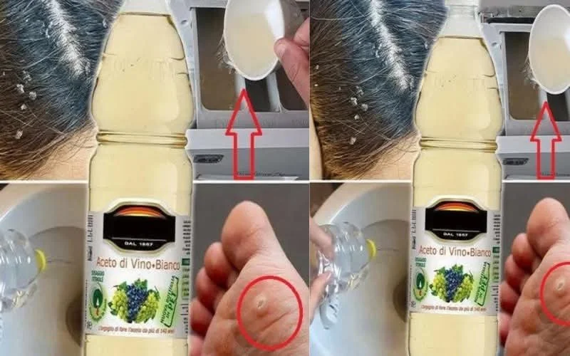 Použití octa jako přírodního čisticího prostředku v domácnosti