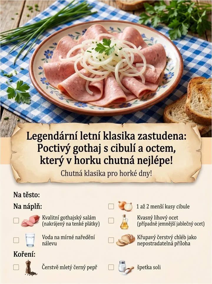Poctivý gothaj s cibulí a octem na talíři