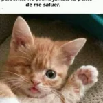 Pěkný večer s rodinou a přáteli