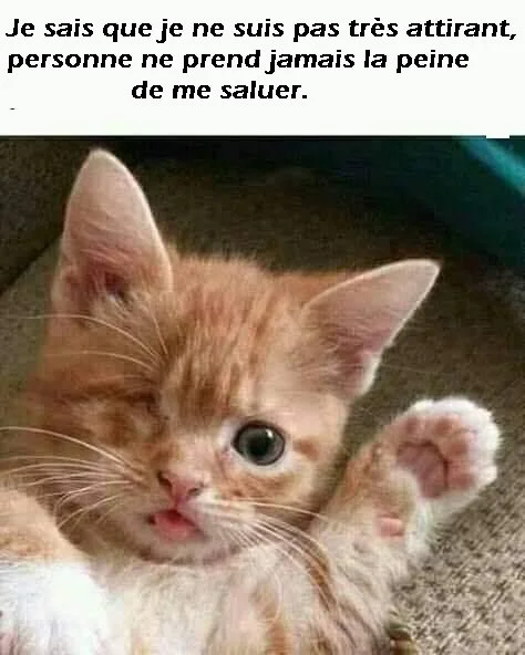 Pěkný večer s rodinou a přáteli