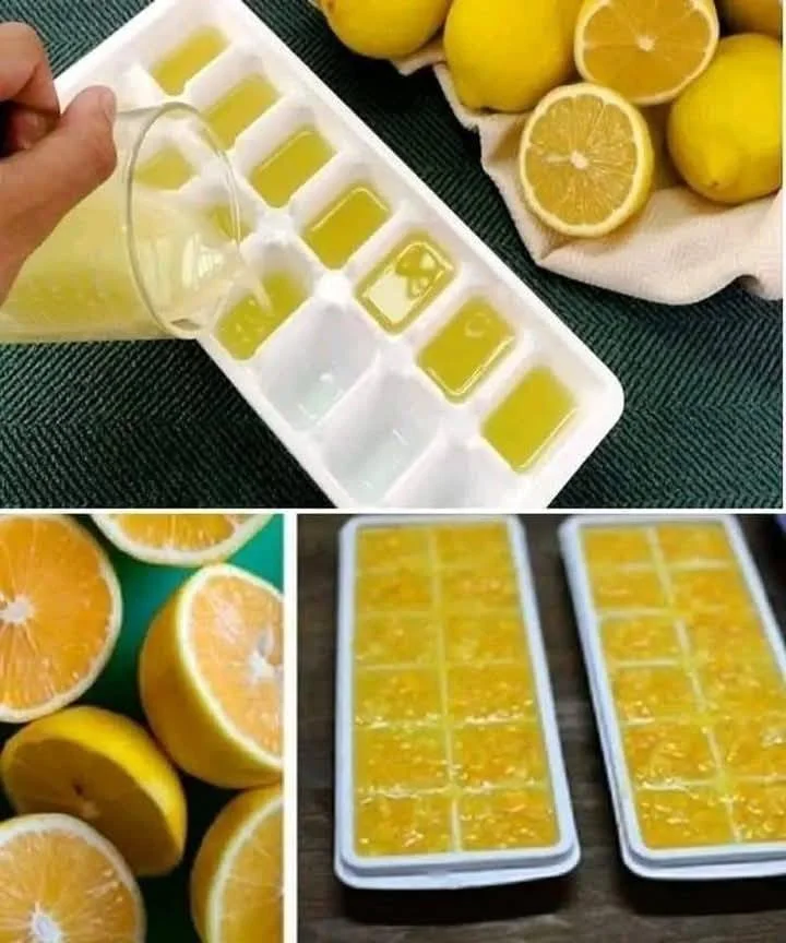 Mražené citrony pro zdraví a zlepšení chuti jídla.